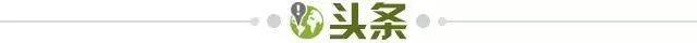 开云体育APP-【早报】主场不敌日本，国足这次站着输